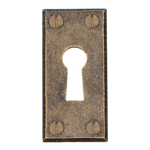 Oakley Escutcheon Plate in Antiqued Brass