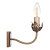 Single Tulip Wall Light in Antiqued Brass