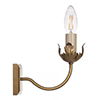 Single Tulip Wall Light in Old Gold