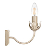 Single Tulip Wall Light in Old Ivory