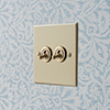 2 Gang Brass Dolly Switch Plain Ivory Bevelled Plate