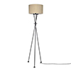 Adler Floor Lamp in Matt Black