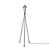 Adler Floor Lamp in Matt Black