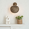 Scallop Wall Light in Antiqued Brass