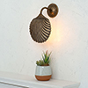 Scallop Wall Light in Antiqued Brass