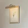 Drummond Picture Light Med (F) in Antiqued Brass