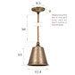 Club Pendant Light in Antiqued Brass