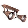 Double Curtis Spot Light in Heritage Copper