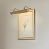 Drummond Picture Light Large (F) in Antiqued Brass
