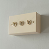 Double Surface Mounting Box in Plain Ivory