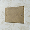 Double Blank Hammered Plate in Antiqued Brass