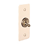 1 Gang Brass Dolly Architrave Switch Plain Ivory Hammered Plate