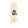 1 Gang Brass Dolly Architrave Switch Plain Ivory Bevelled Plate