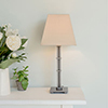 Salisbury Table Lamp in Polished