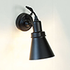 Albion Spot Light in Matt Black