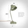 Newark Desk Lamp in Shaker Green