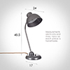 Newark Desk Lamp in Polished