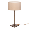 Small Porter Table Lamp in Antiqued Brass