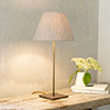 Small Porter Table Lamp in Antiqued Brass
