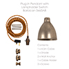Barbican Plug-In Pendant in Antiqued Brass