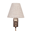 Hanson Library Plug-In Wall Light in Antiqued Brass