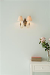 Double Hambleton Wall Light in Antiqued Brass