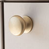 Large Napier Cupboard Knob in Burnished Brass