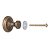 Hardy Cabinet Knob in Antiqued Brass