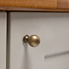 Small Dawson Cabinet Knob in Antiqued Brass