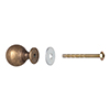 Small Dawson Cabinet Knob in Antiqued Brass