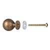 Large Dawson Cabinet Knob in Antiqued Brass