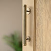 Large Stowe Door Pull in Antiqued Brass