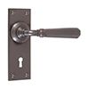 Chester Handle, Bristol Keyhole Plate, Polished