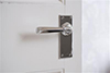 Chester Handle, Bristol Plain Plate, Nickel Pair