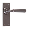 Chester Handle, Bristol Plain Plate, Polished