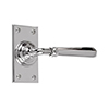 Chester Handle, Bristol Short Plate, Nickel