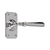 Chester Handle, Ilkley Short Plate, Nickel