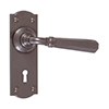 Chester Handle, Nowton Keyhole Plate, Polished