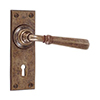Chester Handle, Ripley Keyhole Plate, Antiqued Brass