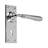 Chester Handle, Ripley Keyhole Plate, Nickel