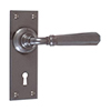 Chester Handle, Ripley Keyhole Plate, Polished