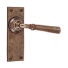 Chester Handle, Ripley Plain Plate, Antiqued Brass