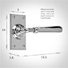 Chester Handle, Ripley Short Plate, Nickel