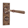 Chester Handle, Ripley Privacy Plate, Antiqued Brass