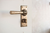 Chester Handle, Ripley Privacy Plate, Antiqued Brass