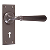 Bromley Handle, Bristol Keyhole Plate, Polished