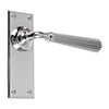 Bromley Handle, Ripley Plain Plate, Nickel