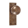 Holkham Door Knob, Bristol Plain Plate, Antiqued Brass