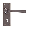 Manson Handle, Bristol Keyhole Plate, Polished