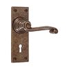 Regency Handle, Bristol Keyhole Plate, Antiqued Brass